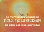 Nils Holgersson - image 1