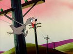 Charlie Le Coq - image 9