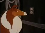 Lassie (<i>dessin animé USA</i>) - image 9